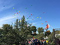 Releasing of Balloons